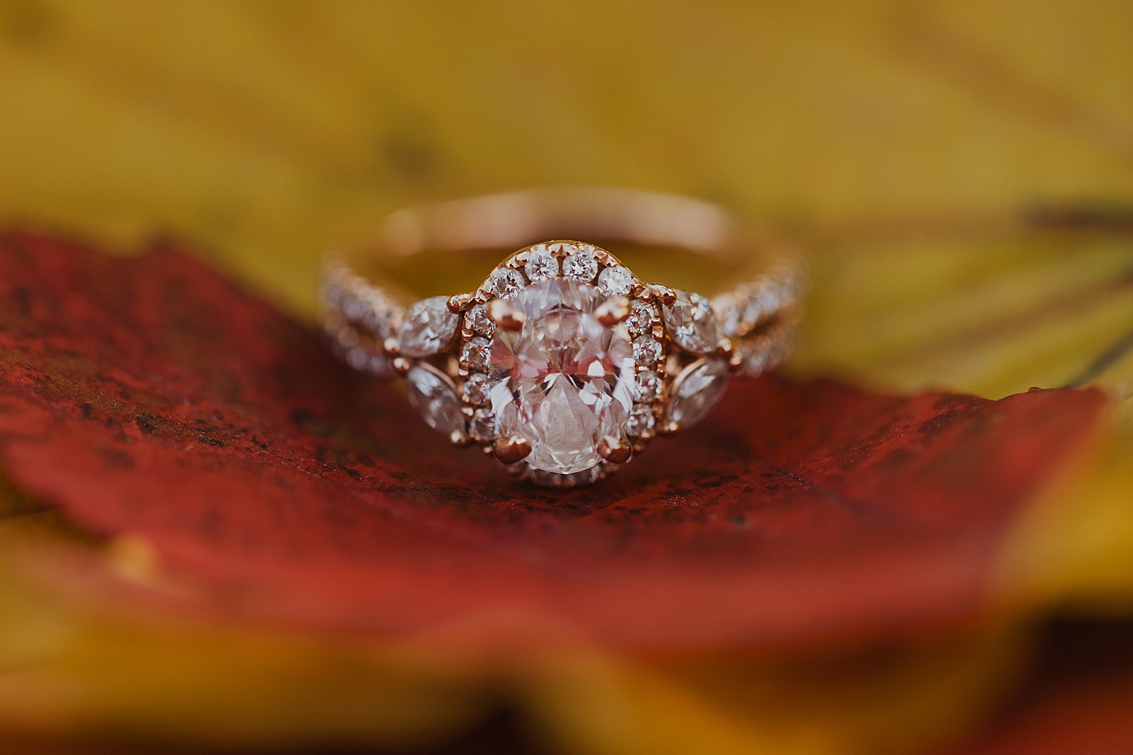 Engagement Ring Styles | Abby Rose Photography