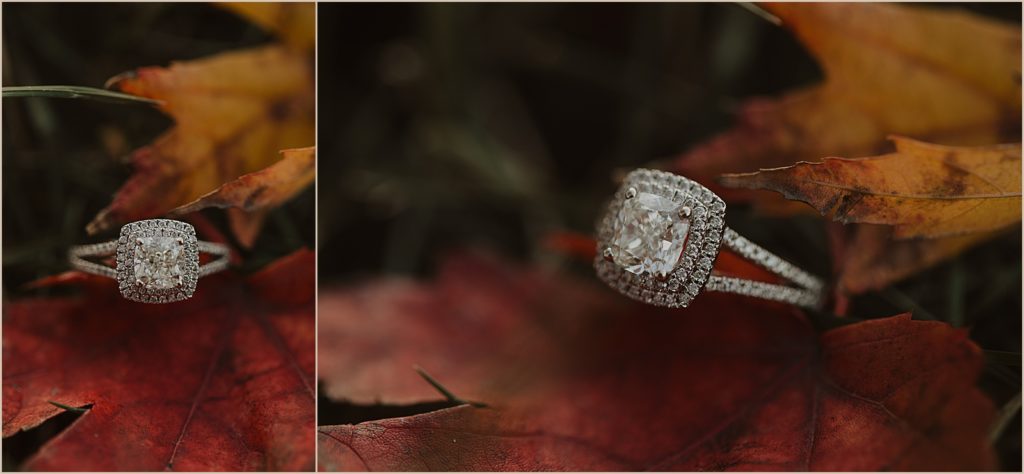 Silver Engagement Ring Ideas