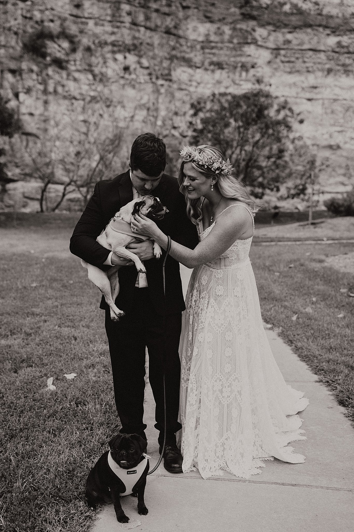 Dogs in Wedding Photos | Alton, IL Wedding Photos