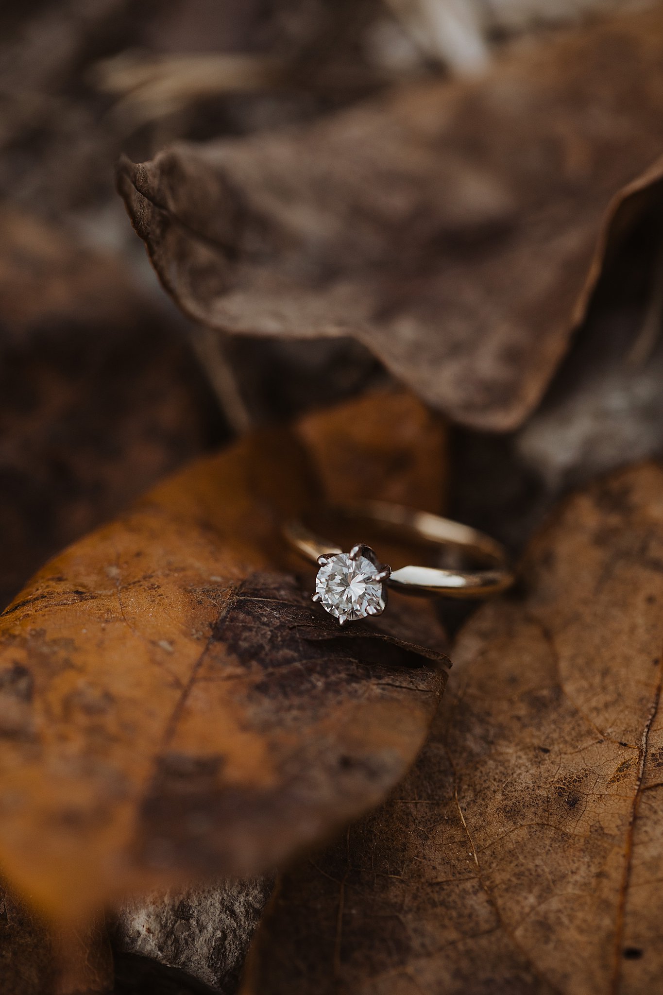 Simple Engagement Ring