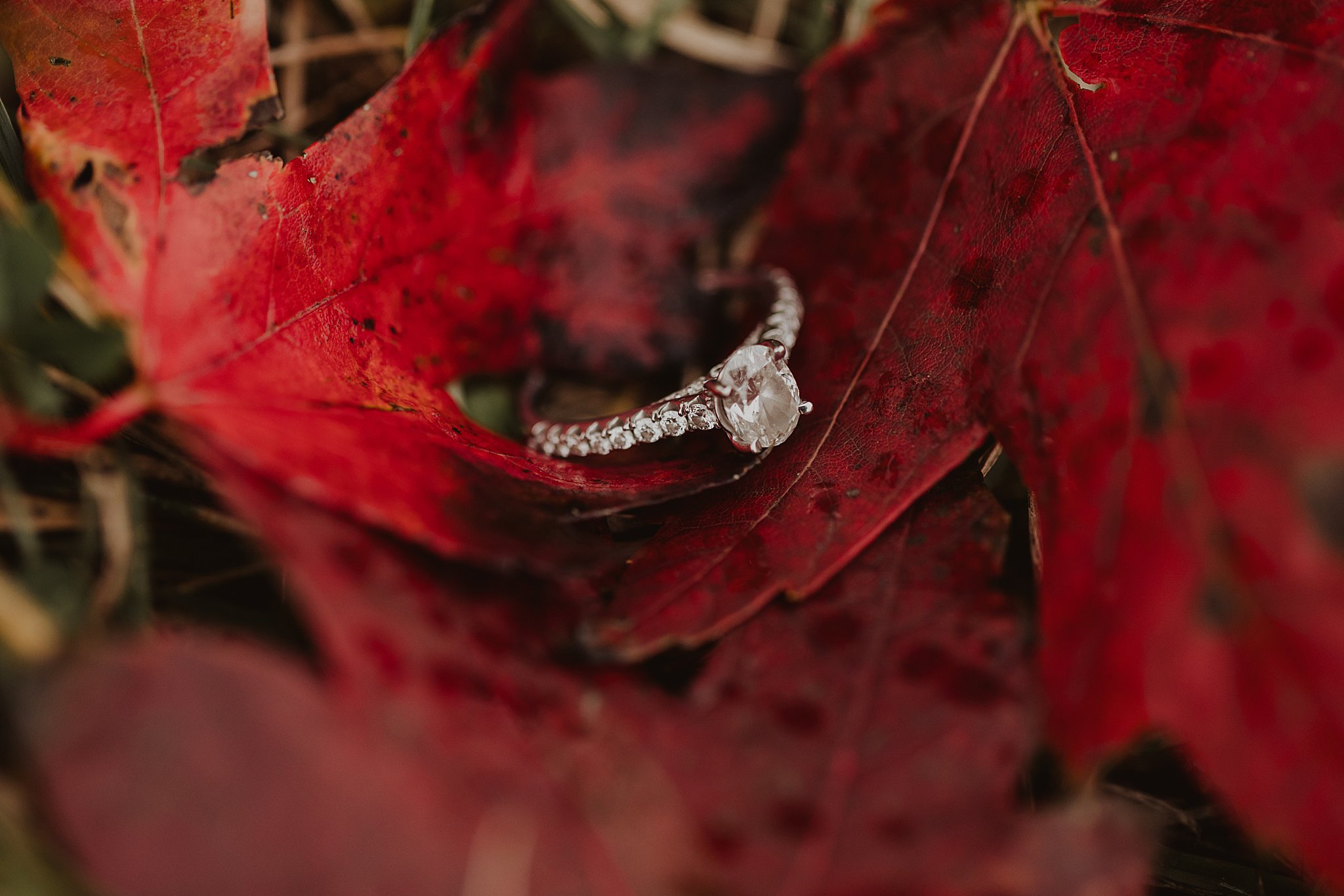Engagement Pictures in the Fall