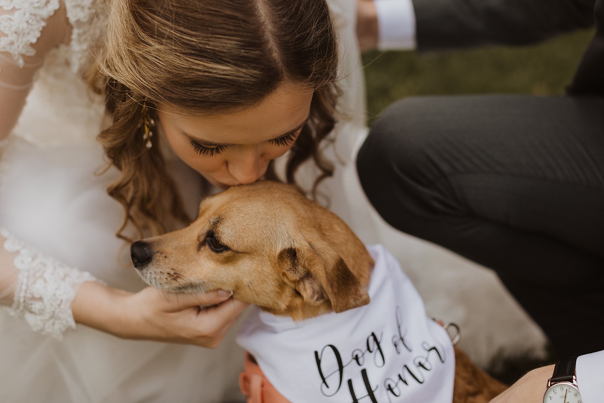 Bride and Groom and Dog of Honor