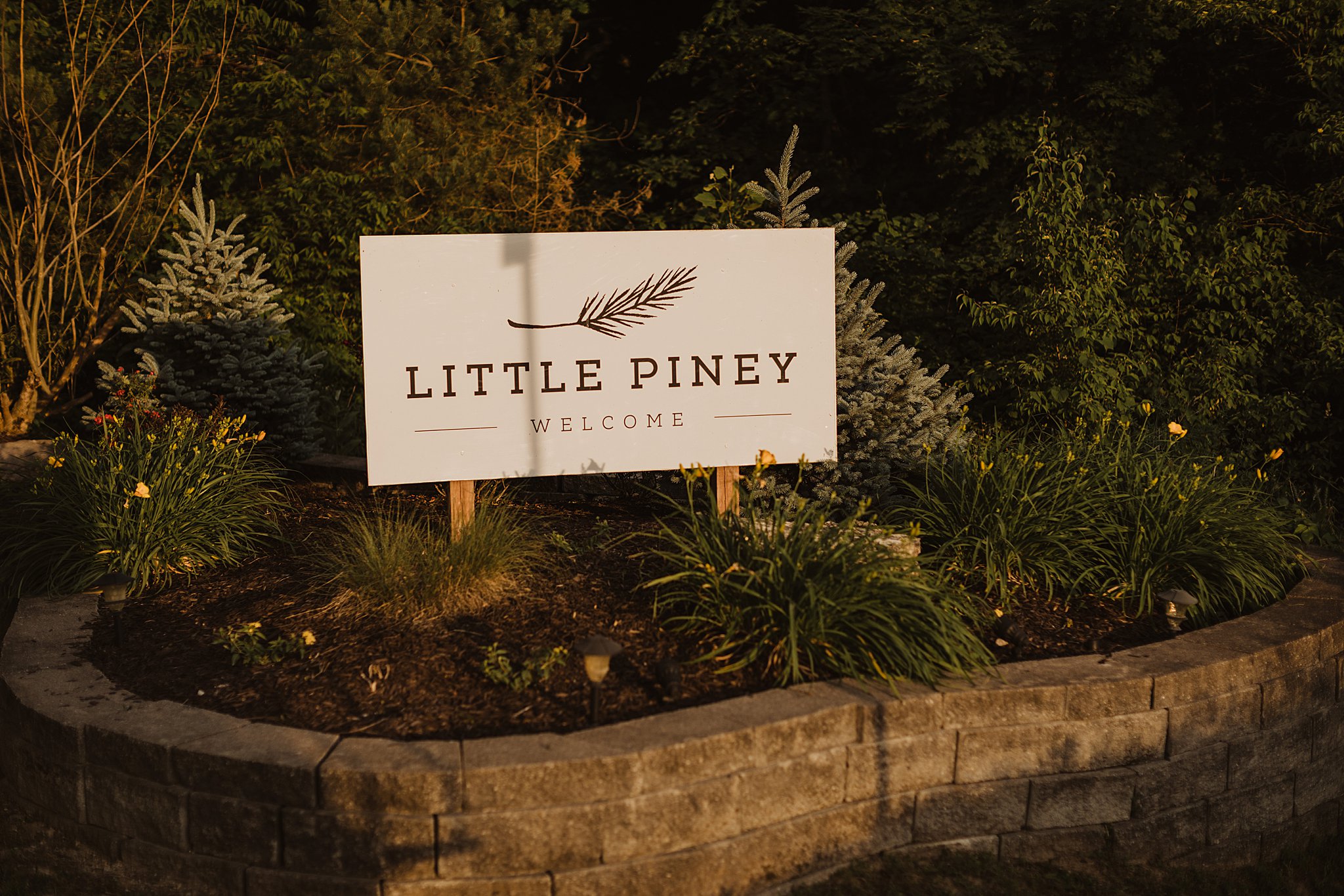 Little Piney Lodge Wedding