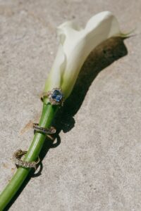 Brides celebrating their summer wedding at Wild Carrot in St. Louis with bridesmaids in pale yellow and chartreuse dresses and bridesmen in beige suits.